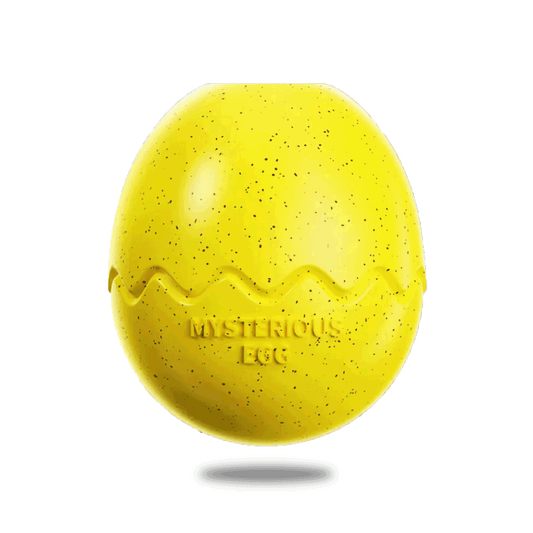 EggyYellow Slow Feeder for Pets