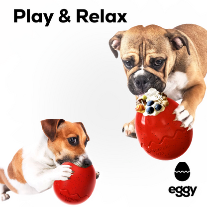 EggyRed - Slow Feeder for Pets